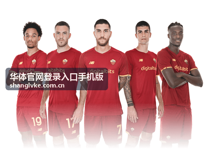 华体官网登录入口手机版登录验证问题排查